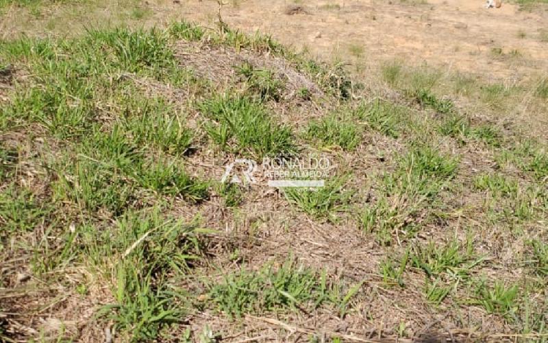 Terreno de 1.120,00